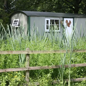 https://the-squirrels-drey-shepherds-hut.yorkshirehotels.net